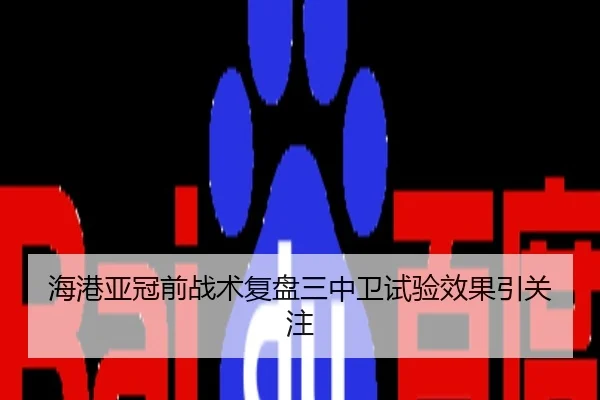 海港亚冠前战术复盘三中卫试验效果引关注