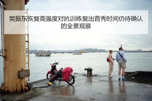 樊振东恢复高强度对抗训练复出首秀时间仍待确认的全景观察