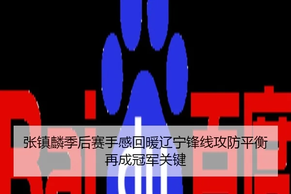 张镇麟季后赛手感回暖辽宁锋线攻防平衡再成冠军关键