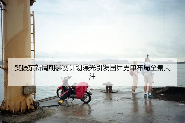 樊振东新周期参赛计划曝光引发国乒男单布局全景关注