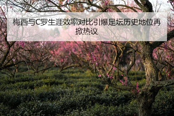 梅西与C罗生涯效率对比引爆足坛历史地位再掀热议